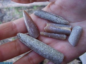 Чертов палец - о камне биологического происхождения очень странной формы