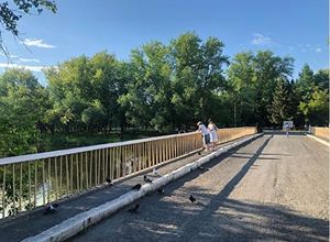 Шумков попросил курганцев не пить, особенно «днем, в четверг»