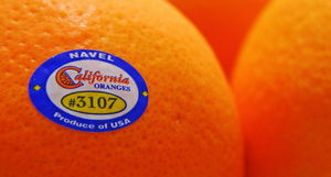 ГМО, агрохимия или полезный продукт: что означают цифры на фруктовых наклейках