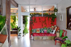 Растения в интерьере квартиры: настоящий домашний сад