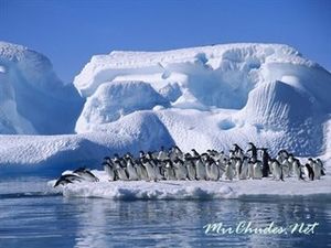 Антаркти́да! 5 заблуждений, в которые верят все люди