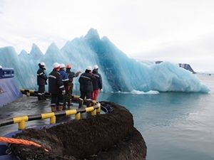 «Росгеология» просит 300 млрд рублей на освоение Арктики