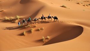 10 секретов пустыни Сахара, которые раскрыли современные археологи