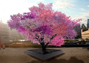 Фруктовое чудо в Нью-Йорке: 40 видов плодов на одном дереве