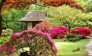 Японский садик на даче своими руками: расскажем и покажем, как сделать