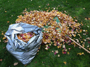 Самый полезный компост из опавшей листвы: хитрости приготовления