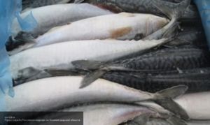 РФ лишает японских рыбаков шансов на прибыль.