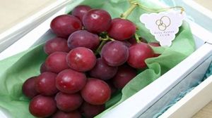 Самый дорогой в мире сорт винограда