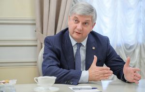 Александр Гусев: Че Гевара не смог бы работать губернатором Воронежской области