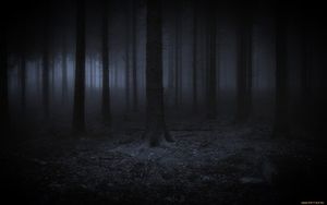 Старуха в темном лесу.