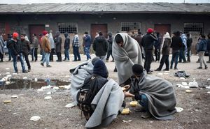 Миллионы беженцев вырежут европейцев, как стадо баранов