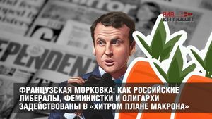 Французская морковка: как российские либералы, феминистки и олигархи задействованы в «Хитром плане Макрона»