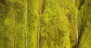 Древняя святыня гавайцев: гора Ваиалеале и Стена слез на Гавайях