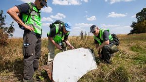 Военкор Стешин увидел «небывалые подвижки» в деле MH17.