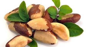 Почему бразильские орехи не научились выращивать и до сих пор собирают в лесу