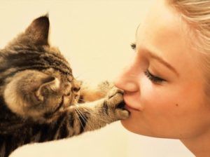 Почему кошки трогают лапкой лицо своего хозяина