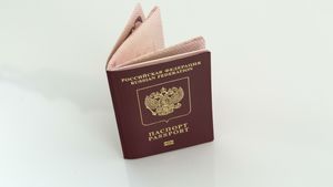 Сколько в России людей с двойным гражданством? В МВД озвучили данные за последние 5 лет