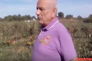 Житель Ростовской области изобрел уникальное средство, избавляющее от садовых вредителей