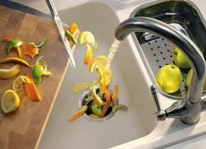 Американцы не дураки: Почему они ставят в кухонные мойки измельчители пищевых отходов, а мы нет?