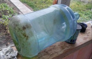 Простой способ почистить 20-литровую бутыль от зелени и грязи на дне