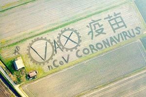 Художник «создал» коронавирус на поле с помощью трактора