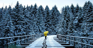 Умиротворяющие зимние пейзажи немецкого фотографа