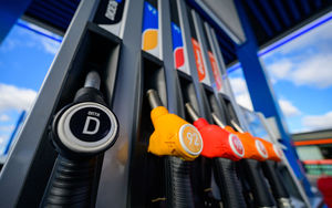 Цены на топливо не изменятся — им нефть не указ