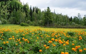 Фото подборка: красивые пейзажи Сибири