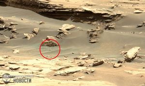 Гриб, червяк или цветок? На фото с Марса нашли новый странный объект