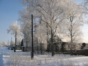 Шапка с ногами и другие истории от наших читателей