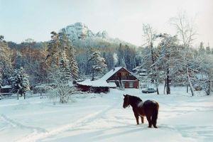 18 удивительных фото природы Сибири