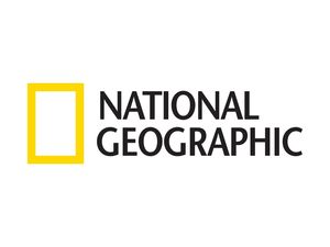 10 самых неповторимых фотографий 2019 года по версии National Geographic