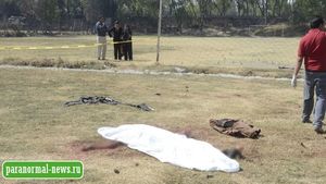 Обвиняют чупакабру: В Мексике мужчину убило загадочное животное