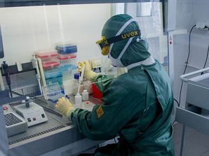 Биотехнологи обнаружили полностью блокирующее коронавирус антитело