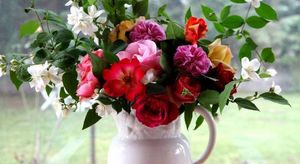Как живые цветы в вазе влияют на самочувствие и настроение домочадцев