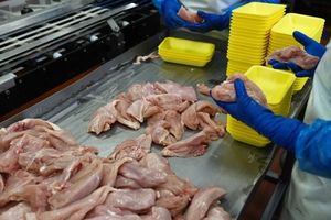 Роскачество обнаружило хлор и антибиотики в курином филе