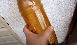 Дачник сделал пугало из пластиковой бутылки, которое птицы облетают десятой дорогой