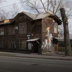 Я живу в деревянном доме-гнезде с Дон Кихотом (Екатеринбург)