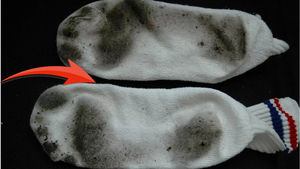 Зачем я кладу грязные носки в микроволновку?