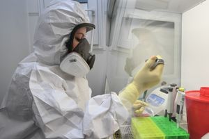 Вирусолог объяснил, откуда в России 100 штаммов коронавируса