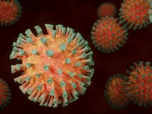 Откуда взялся коронавирус: Госдеп рассекретил депеши об Уханьском институте вирусологии