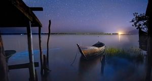 Фотограф запечатлел Млечный Путь и биолюминесцентные воды одновременно