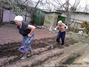 Советы дачникам