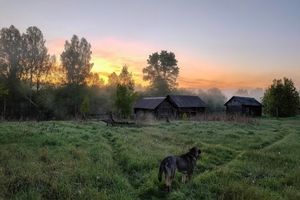 Туманный рассвет и банные веники. 10 кадров настоящей деревни с берегов Керженца