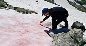 Красиво и печально: почему ледник в Альпах стал розовым, и что с ним будет дальше