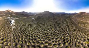 Невероятные сады Лансароте: что испанцы выращивают в круглых ямах из пепла