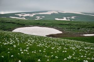 Уникальные места России. Плато Лагонаки