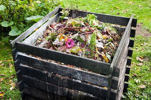 Доходы из отходов. Как правильно сделать компост?