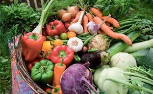 Хранение овощей: условия и способы для разных культур