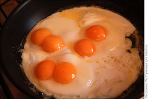 А вы знаете, почему в яйце бывает два желтка? Рассказываю